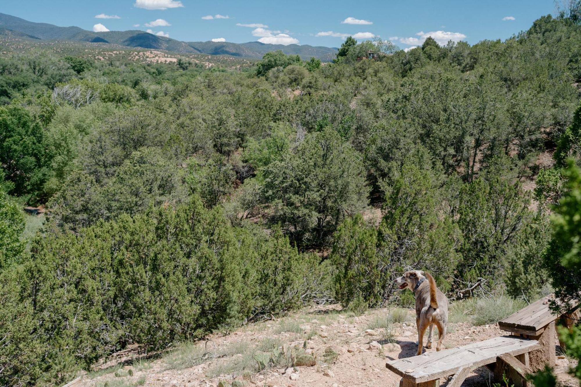 Tesuque Outpost Casita F Best Views In Santa Fe Exterior photo
